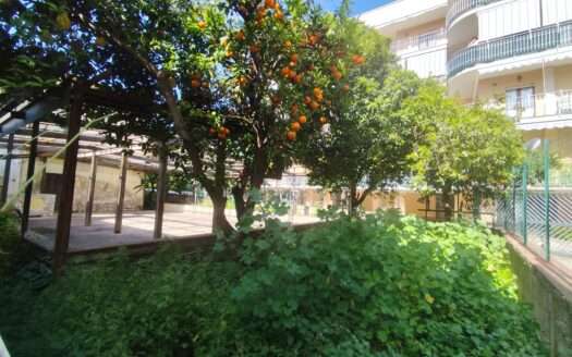 Giardino (2)